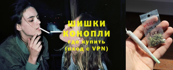 гидра Арсеньев