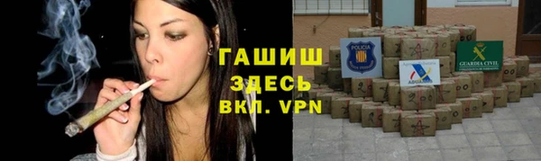 гидра Арсеньев