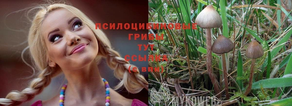 хмурый Армянск