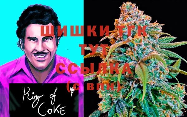 гидра Арсеньев